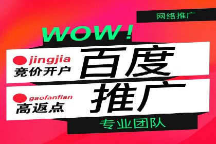 解析sem代运营公司经典案例：如何实现ROI最大化